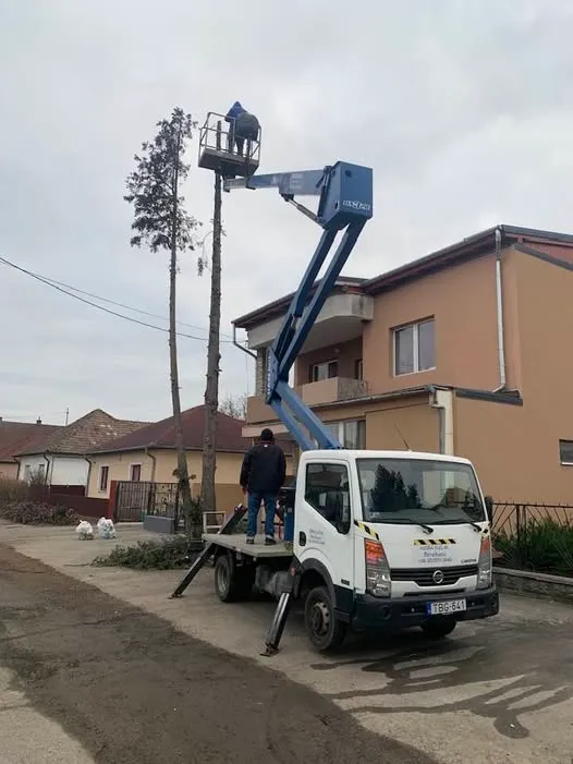 magassági munkák Domony emelőkosaras