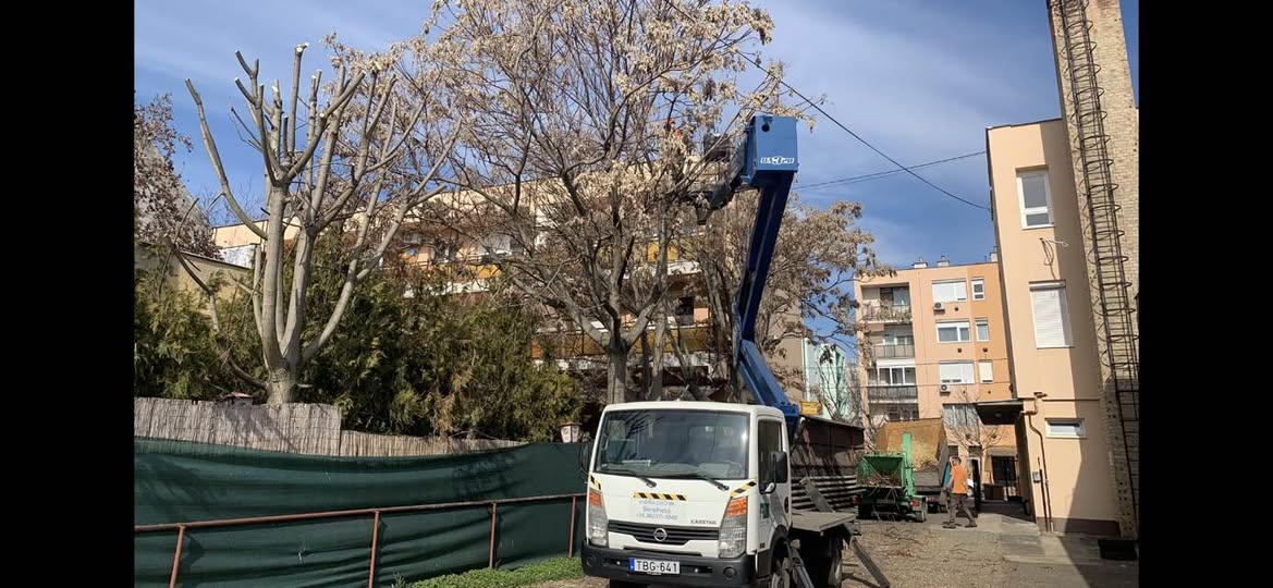 fa kivágása Hatvanban emelőkosaras autóval