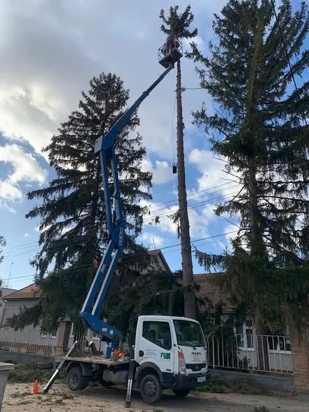 Magassági favágás Iklad