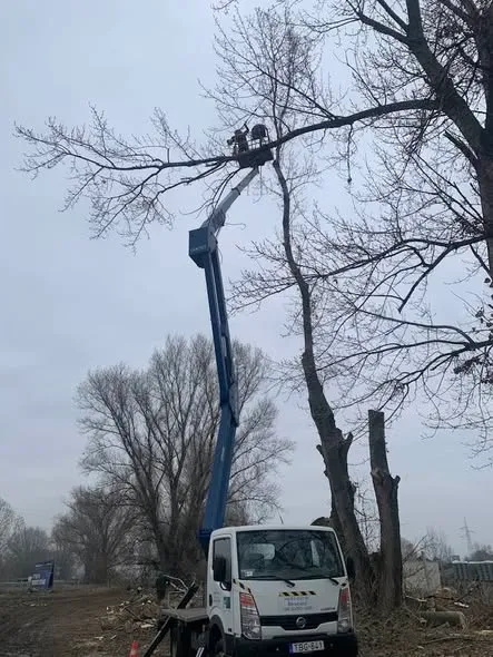 magassági munkák Üllő emelőkosaras