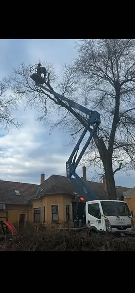 magassági munkák Vác emelőkosaras