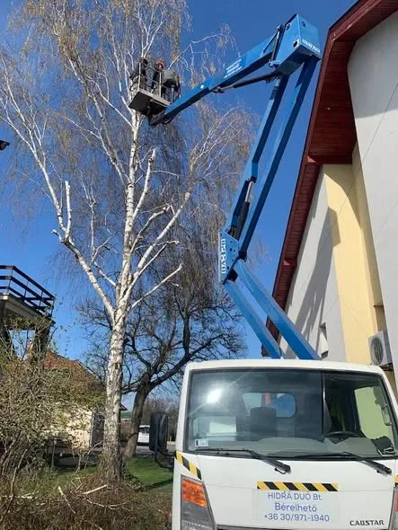 magassági munkák Váchartyán emelőkosaras